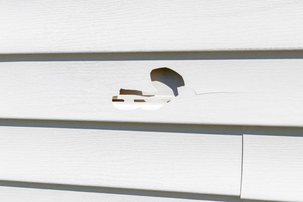 Best Engineered Wood Siding  in Country Lake Estates, NJ