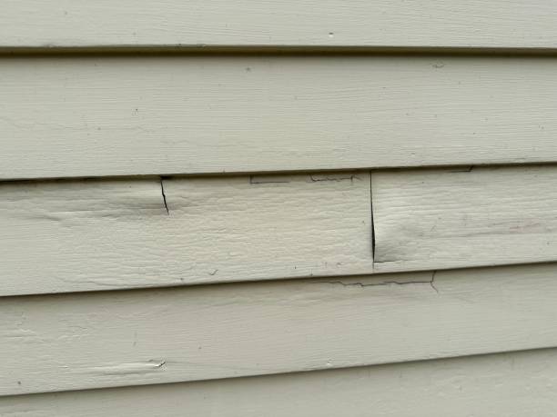 Best Siding for New Construction  in Country Lake Estates, NJ